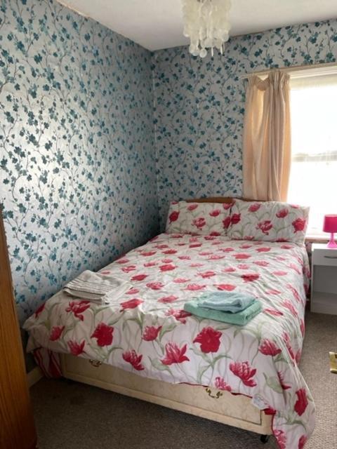 Room Only Guest Accommodation, Guest House Self Catering 威尔士班戈 外观 照片